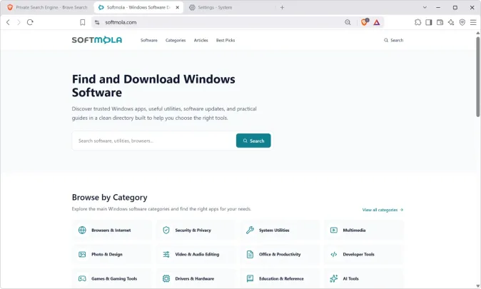 brave browser screenshot viewing a website page
