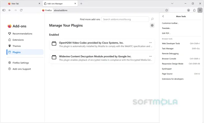 firefox tools menu screenshot with browser utilities