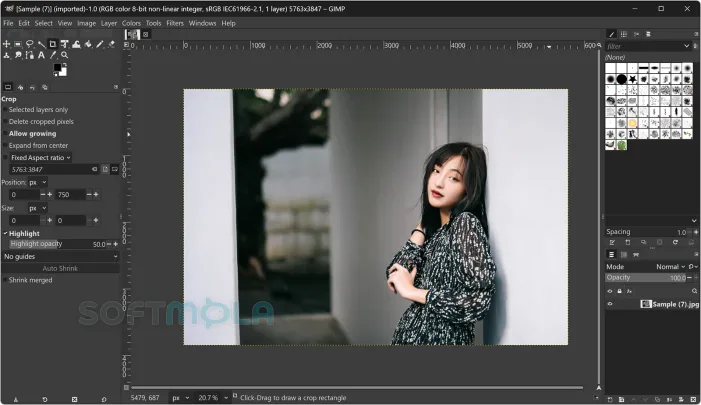gimp crop tool screenshot with selected image area