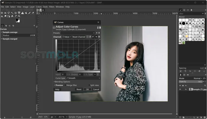 gimp editor screenshot with color curves adjustment