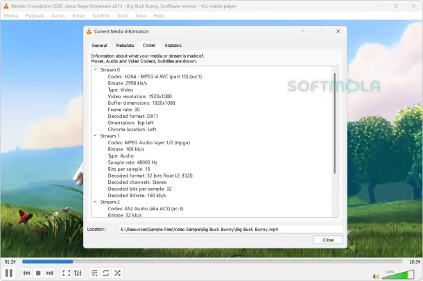 vlc media player media information screenshot with file details