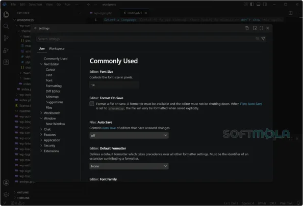 vscodium settings screenshot with editor preferences