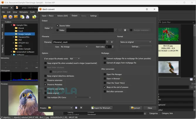 xnview mp batch convert screenshot with image processing options
