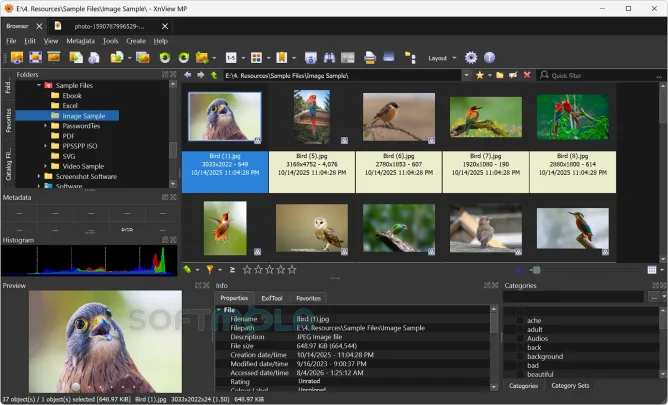 xnview mp browser screenshot with image folder navigation