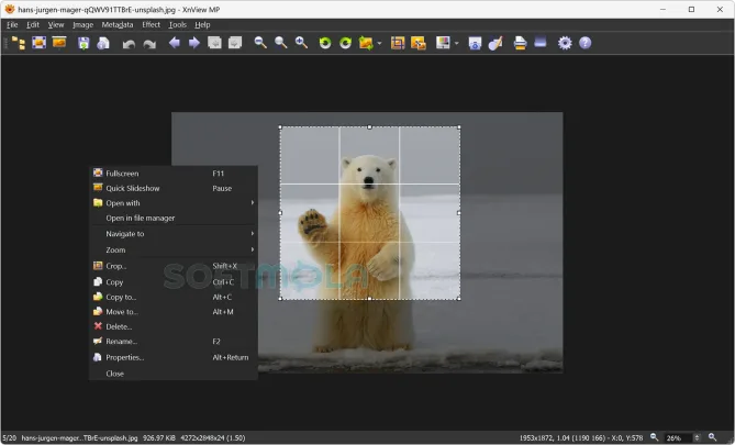 xnview mp crop tool screenshot with selected image area